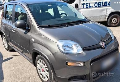 fiat panta  hybrid  2022