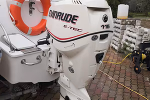motore evinrude 