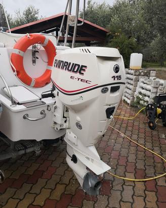 motore evinrude 