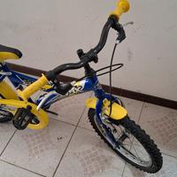 Bicicletta bambino 5-6 anni