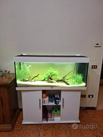 Acquario Juwel Rio 240