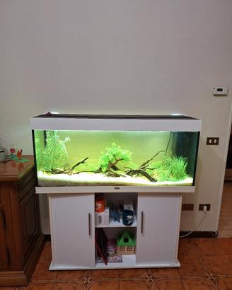 Acquario Juwel Rio 240