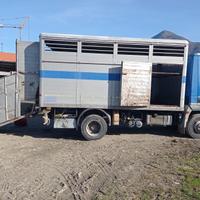 Camion per trasporto animali vivi