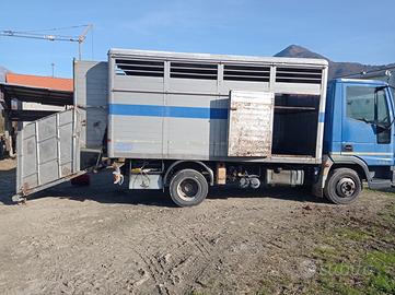 Camion per trasporto animali vivi