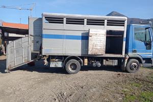 Camion per trasporto animali vivi