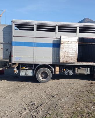Camion per trasporto animali vivi
