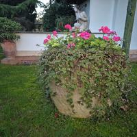 Fioriera mangiatoia in pietra originale dell'800