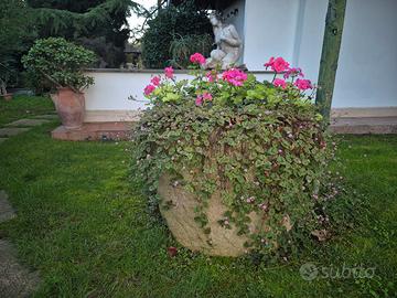 Fioriera mangiatoia in pietra originale dell'800