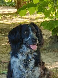 Mina 6 anni