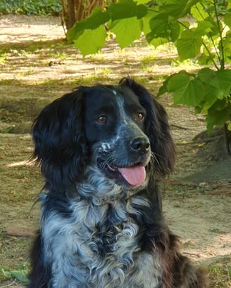 Mina 6 anni