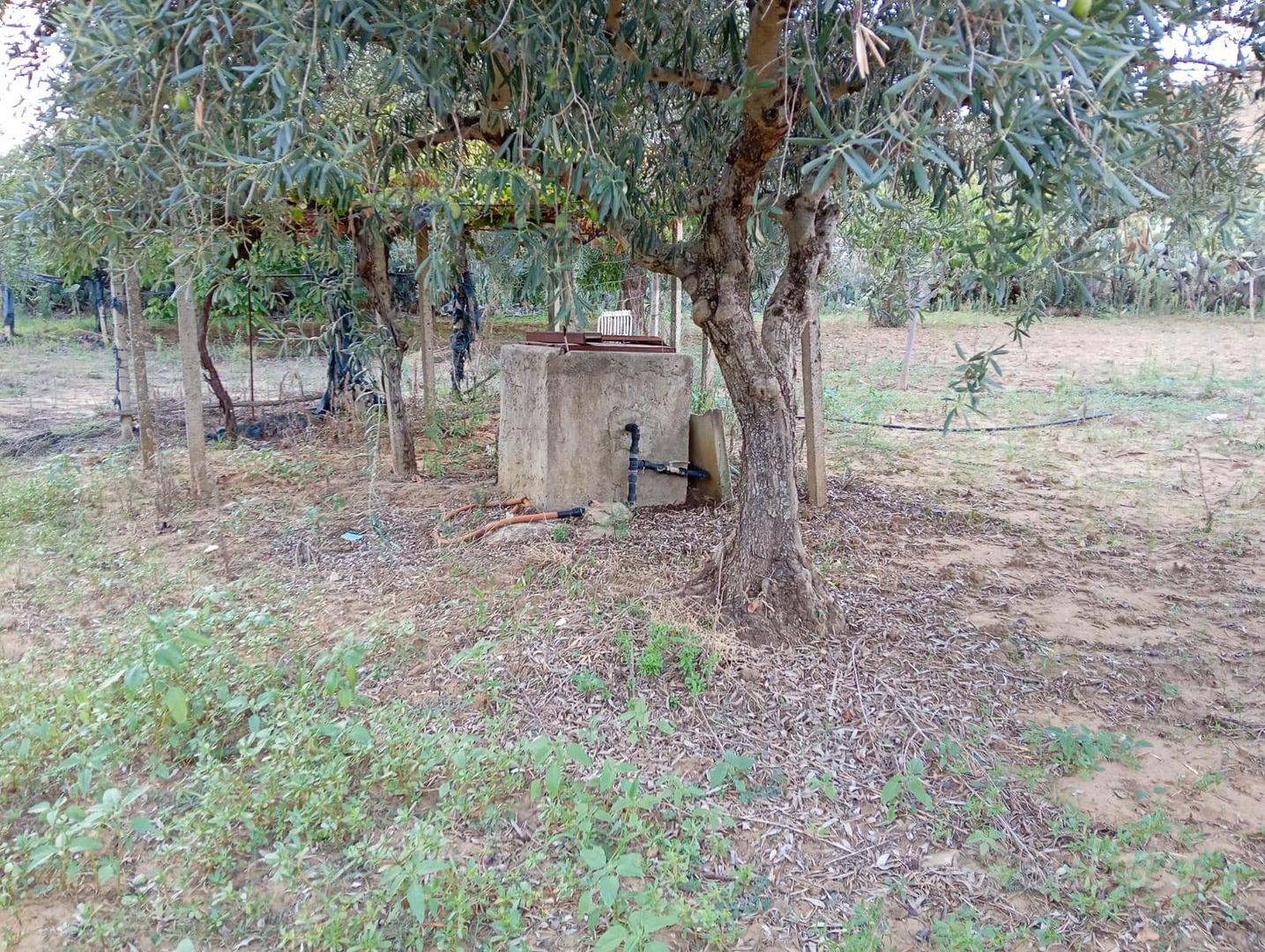 Casa – Piazza Armerina, Canali, Enna - Vista 4