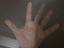 Immagine 4