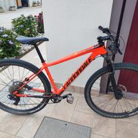 Bici MtB Cannondale carbonio 29