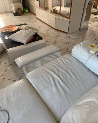 Divani in pelle