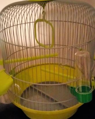 Gabbietta per uccellini