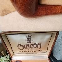 Pipa  Chacom  Specimen  free hand