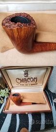 Pipa  Chacom  Specimen  free hand