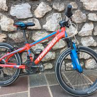 MTB Torpado 20