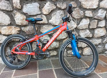 MTB Torpado 20