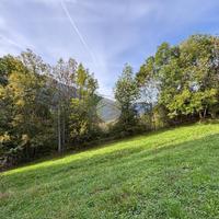 TER. RESIDENZIALE A VEZZA D'OGLIO