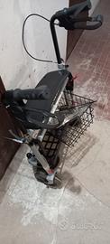 Deambulatore Termigea Rollator R07