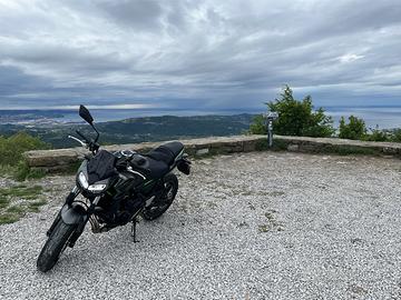 Kawasaki Z 650 - 2023