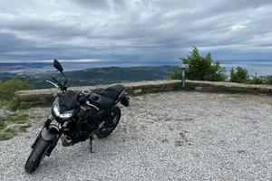 Kawasaki Z 650 - 2023