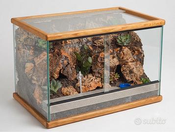 Terrario 50x30x40 cm