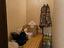 Immagine 16