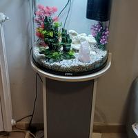 acquario completo con mobile