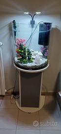 acquario completo con mobile