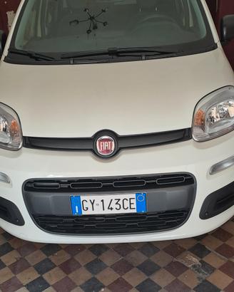 fiat panda pari a nuovo soli 600 km 