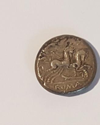 Denario romano argento Gens Cipia (115-114 a.C.)