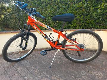 Mountain bike
