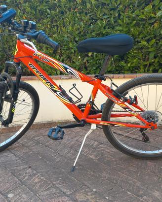 Mountain bike