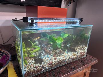 Acquario 25 litri