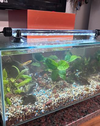 Acquario 25 litri