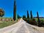 Immagine 7