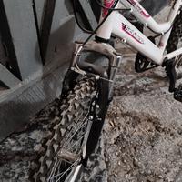 Mountain bike Schiano misura 20 