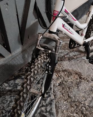 Mountain bike Schiano misura 20 