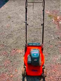 Taglia erba Briggs stratton