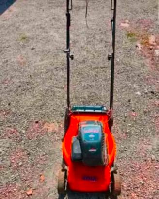 Taglia erba Briggs stratton