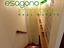 Immagine 13