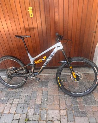 canyon torque fabio widmer