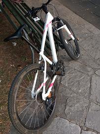 rockrider st 100