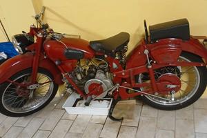Guzzi airone