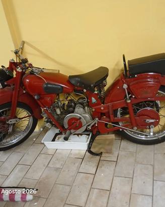 Guzzi airone