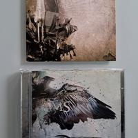 CD Midriff: Blackout EP + Broken Dreams Album 2012