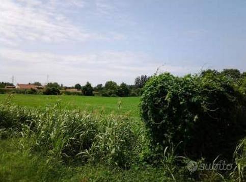 Immobile in asta di 9154 m² a Vigonovo - Vista 5