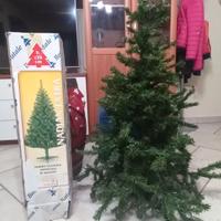 Albero di natale